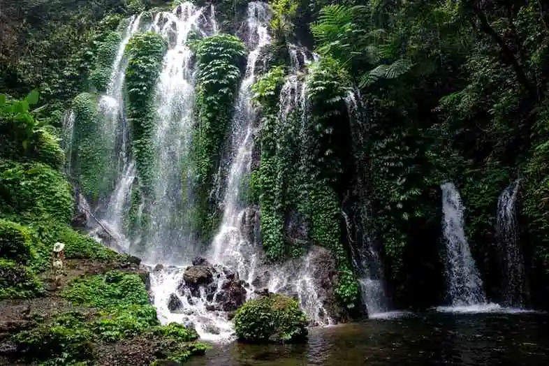 Banyu Wana Amertha Waterfall & Bhuana Sari In Bali